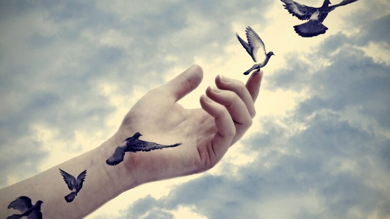 Hand with Birds Flying