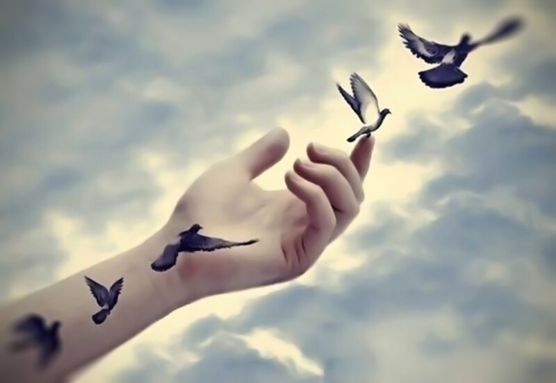 Hand with Birds