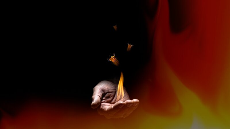 Hand with Butterflies — Black
