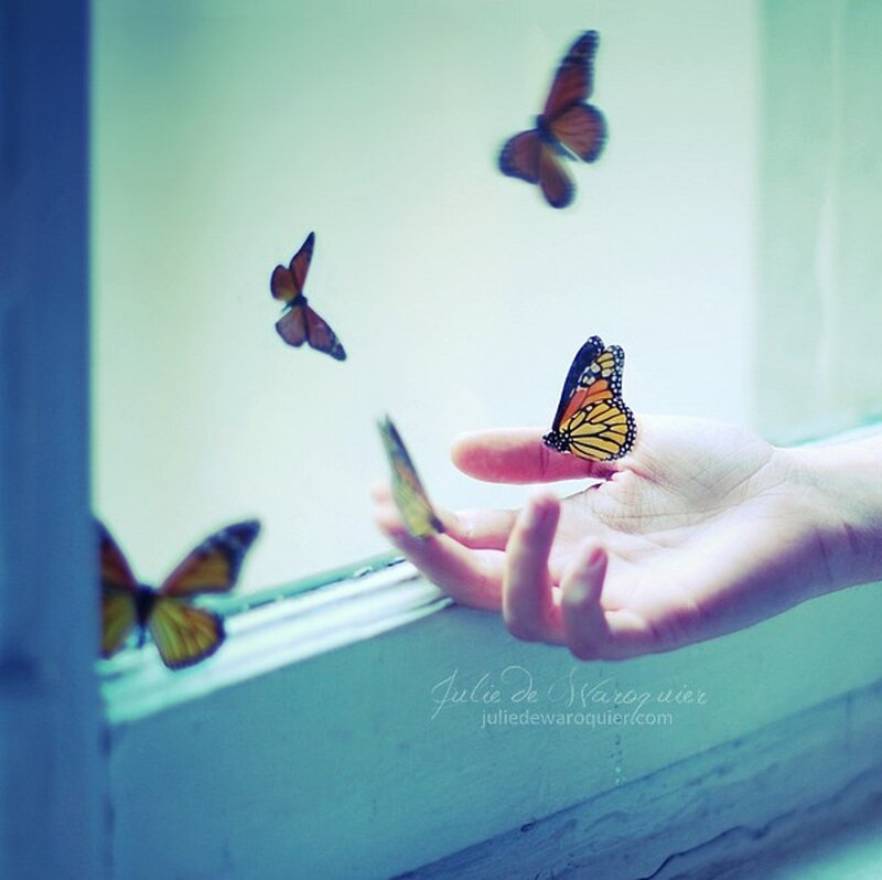 Hand with Butterflies — Blue