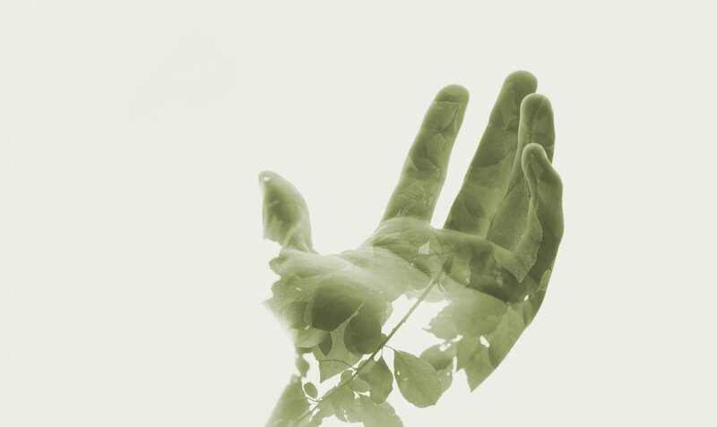 Hand with Leaves Overlay