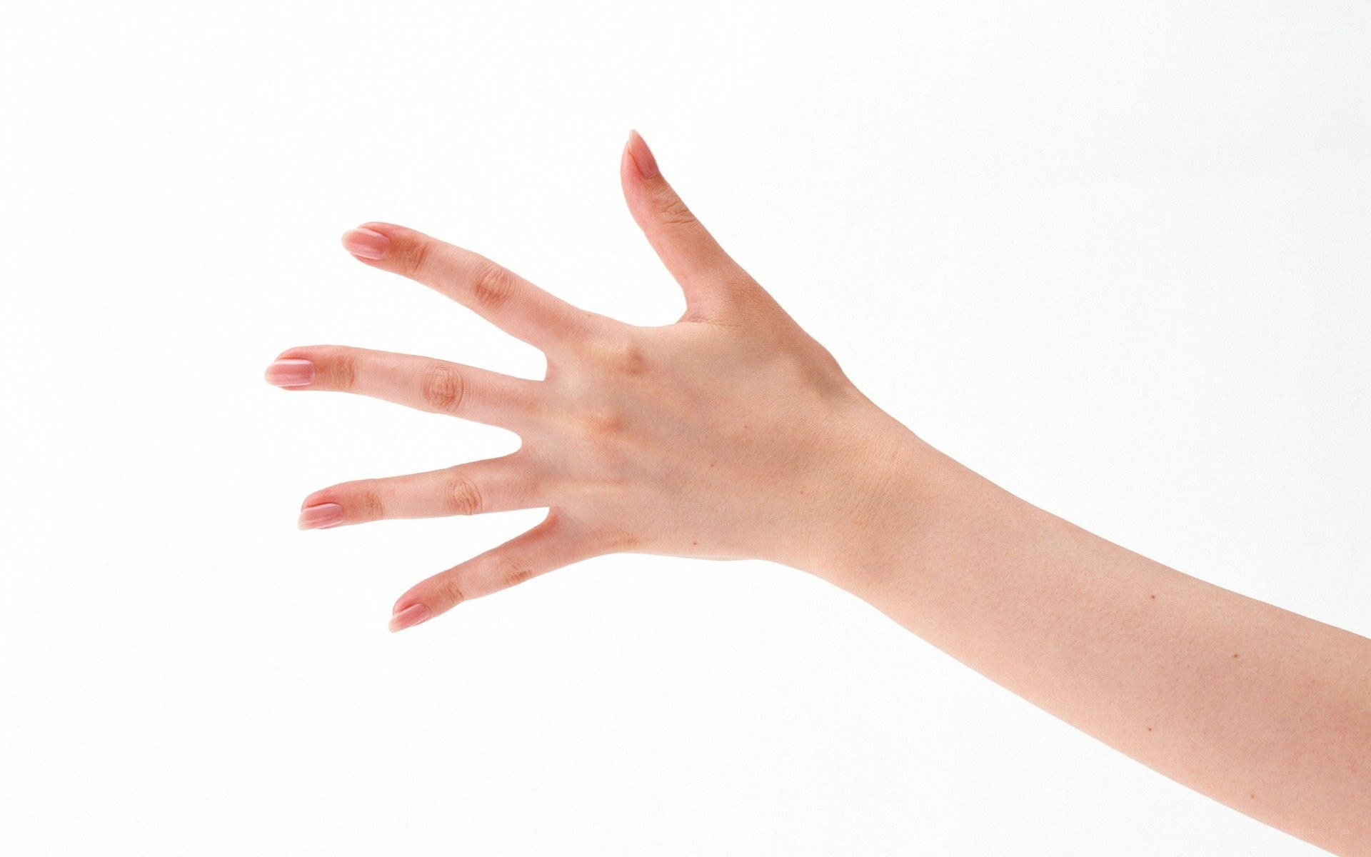 hand with manicured nails