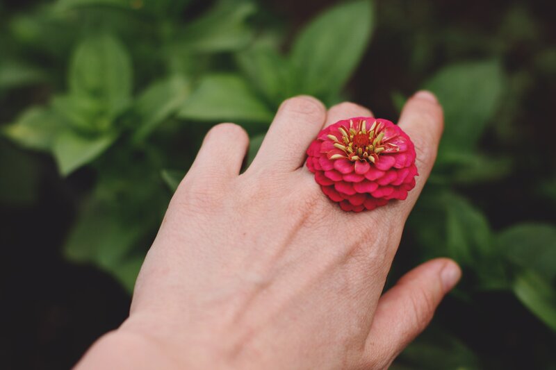 Hand with Pink Flower — Calm