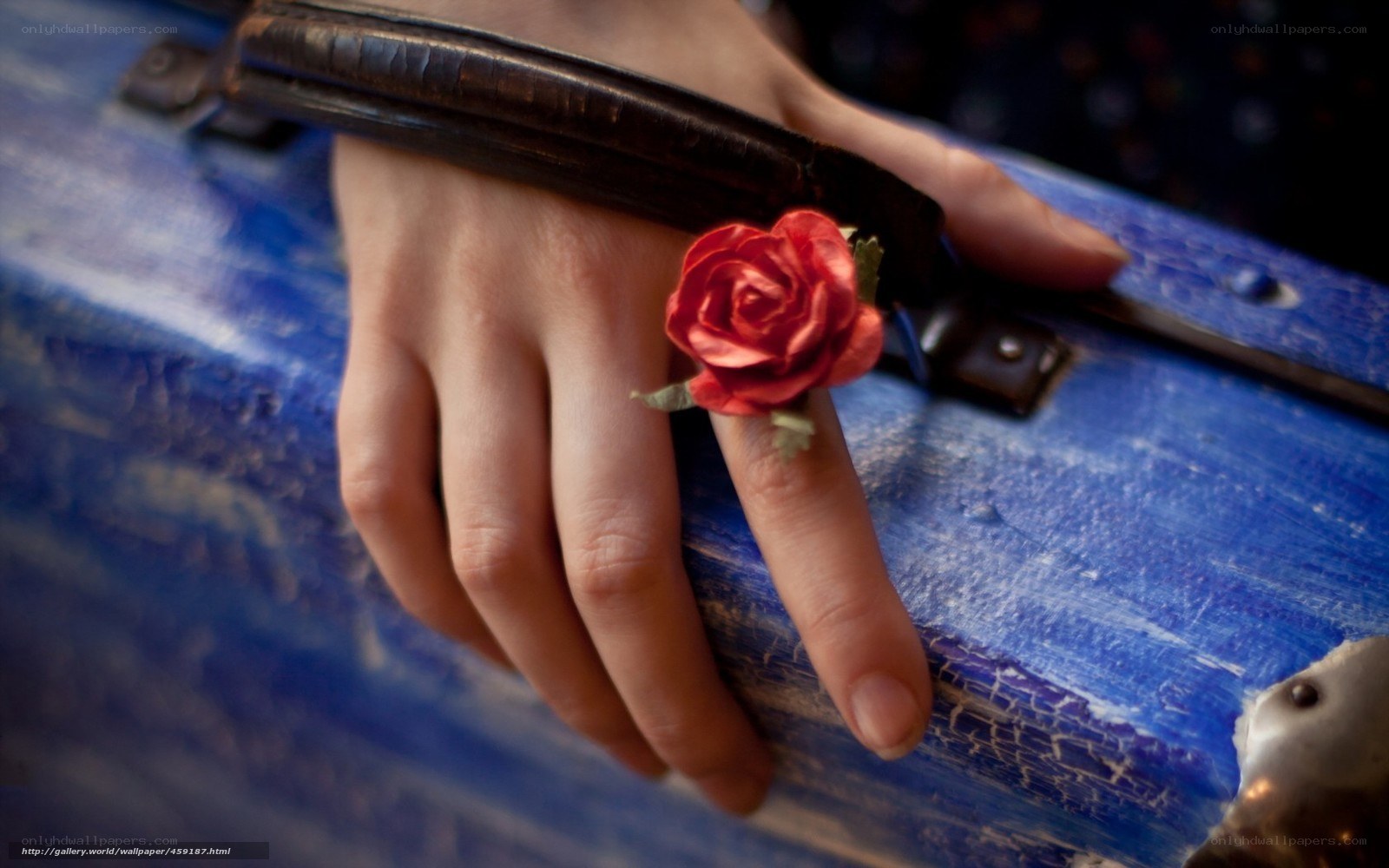 hand with red rose ring