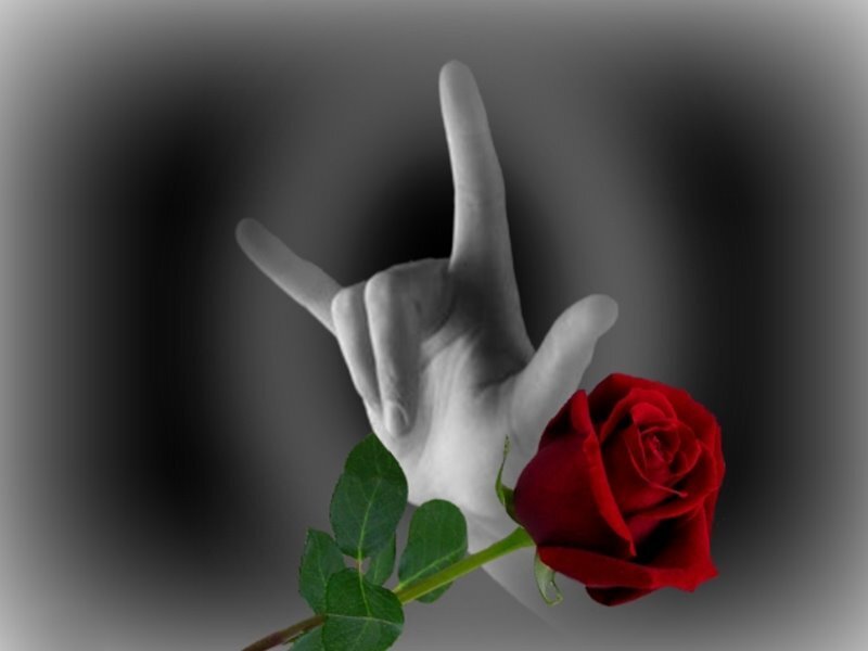 hand with red rose