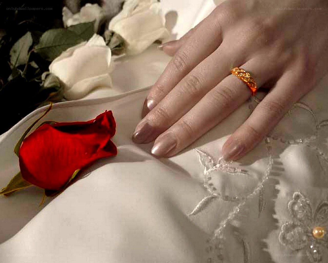 Hand with ring and rose petals