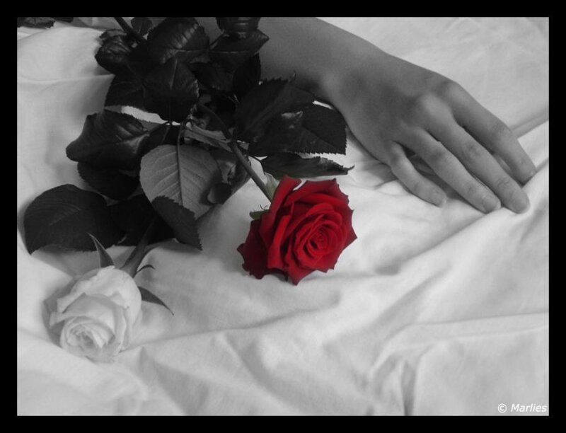 Hand with Roses