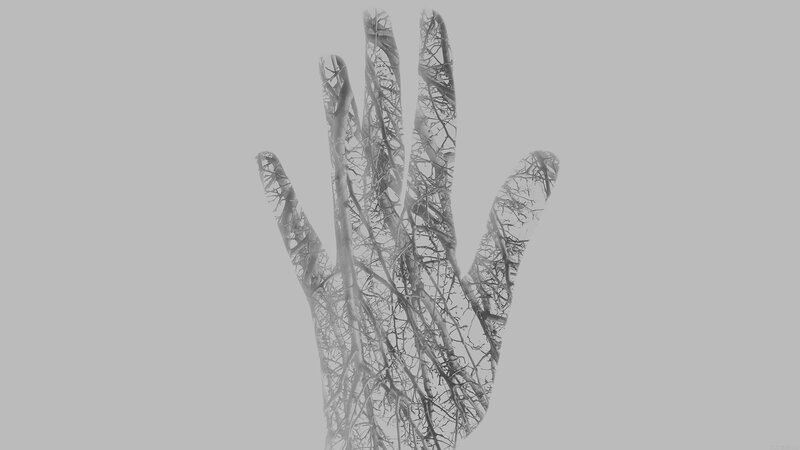 Hand with Tree Branches