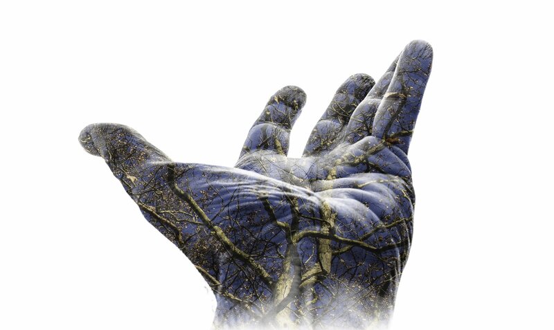 Hand with Tree Overlay