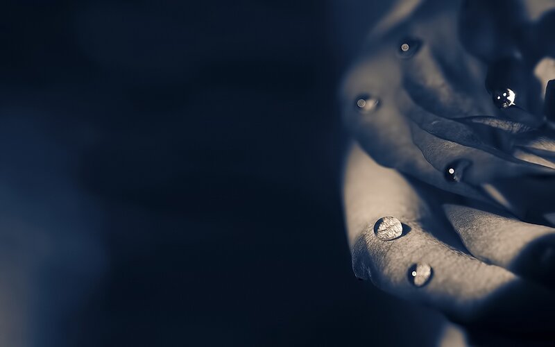 Hand with Water Droplets — Blue, Dramatic