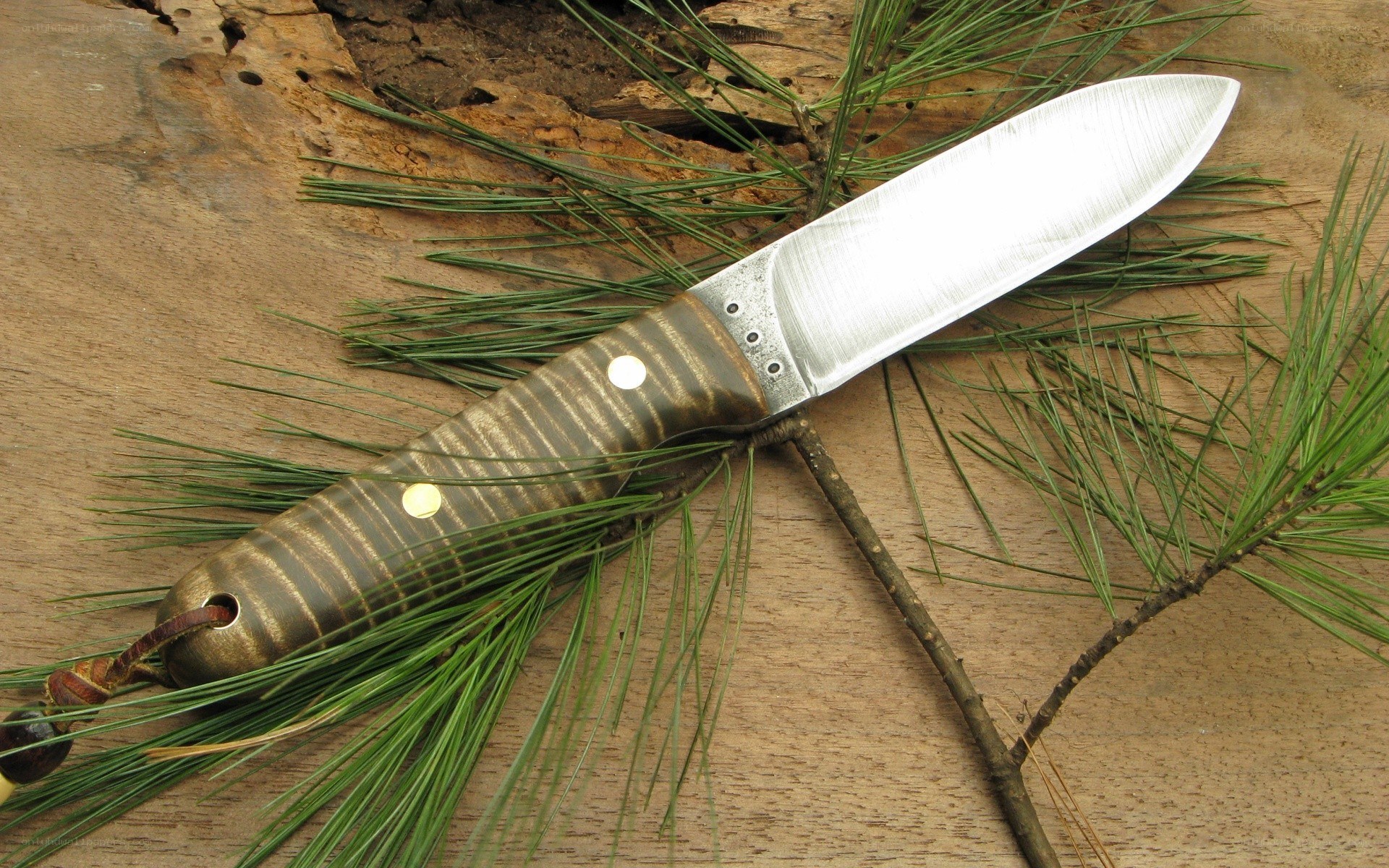 handcrafted knife on pine needles