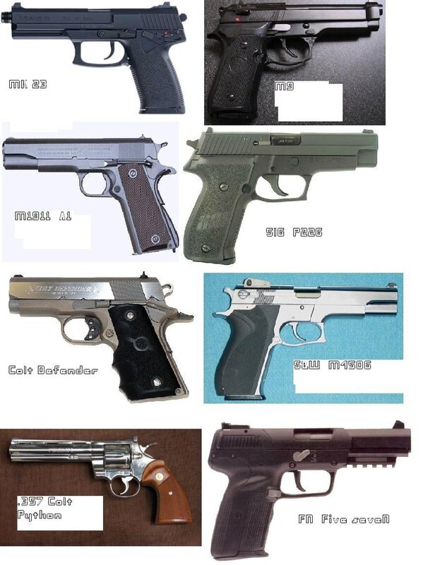 Handgun collection display