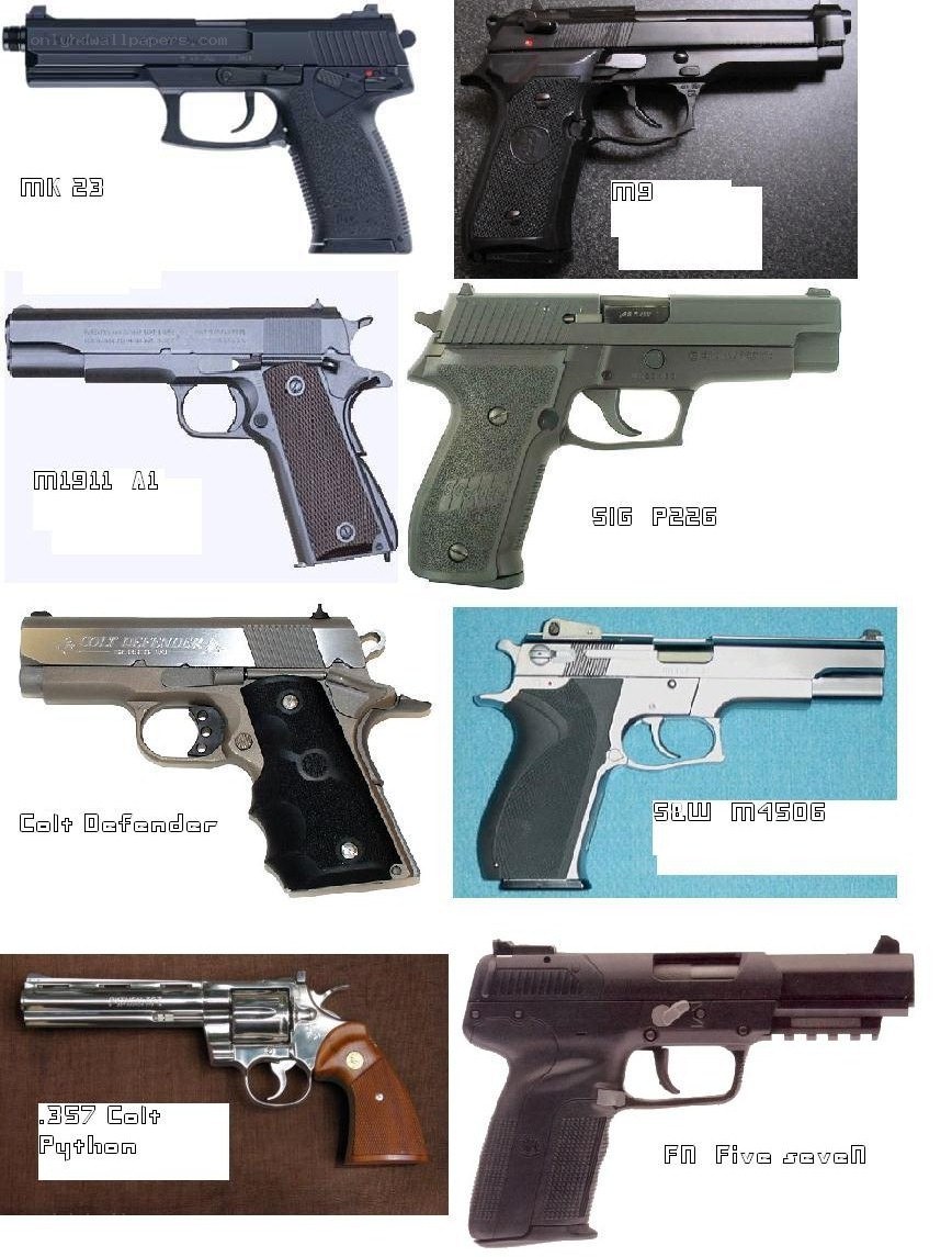 Handgun collection display