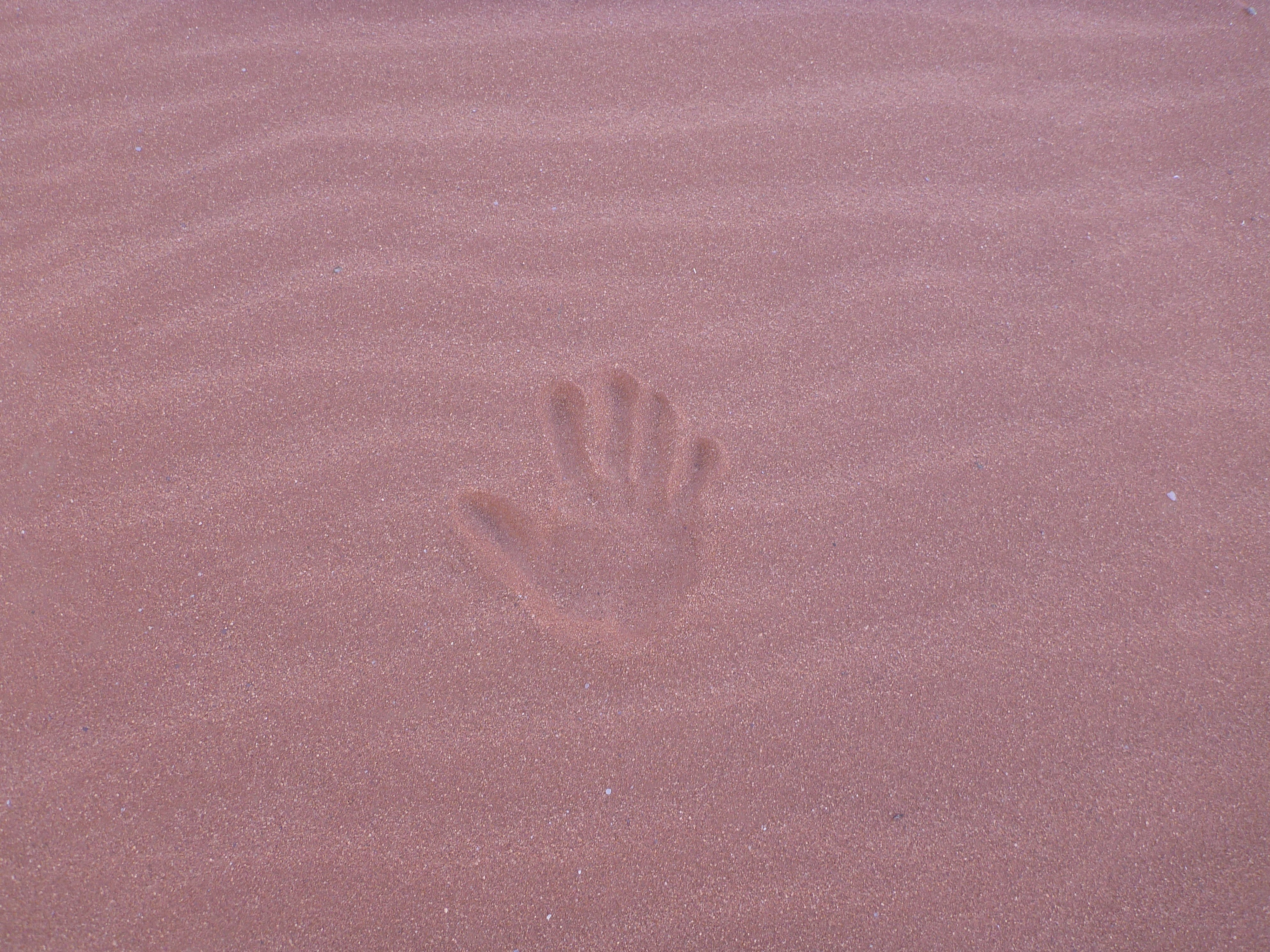 handprint in pink sand