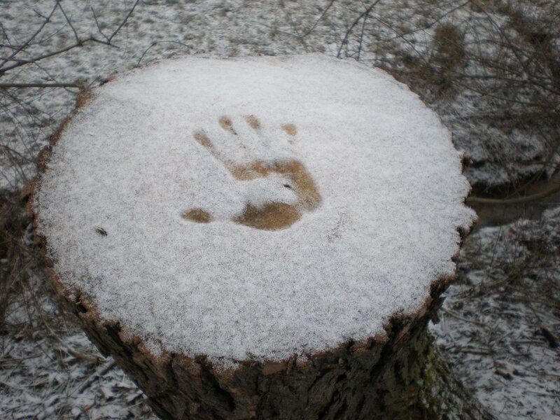 handprint in snow on tree stump