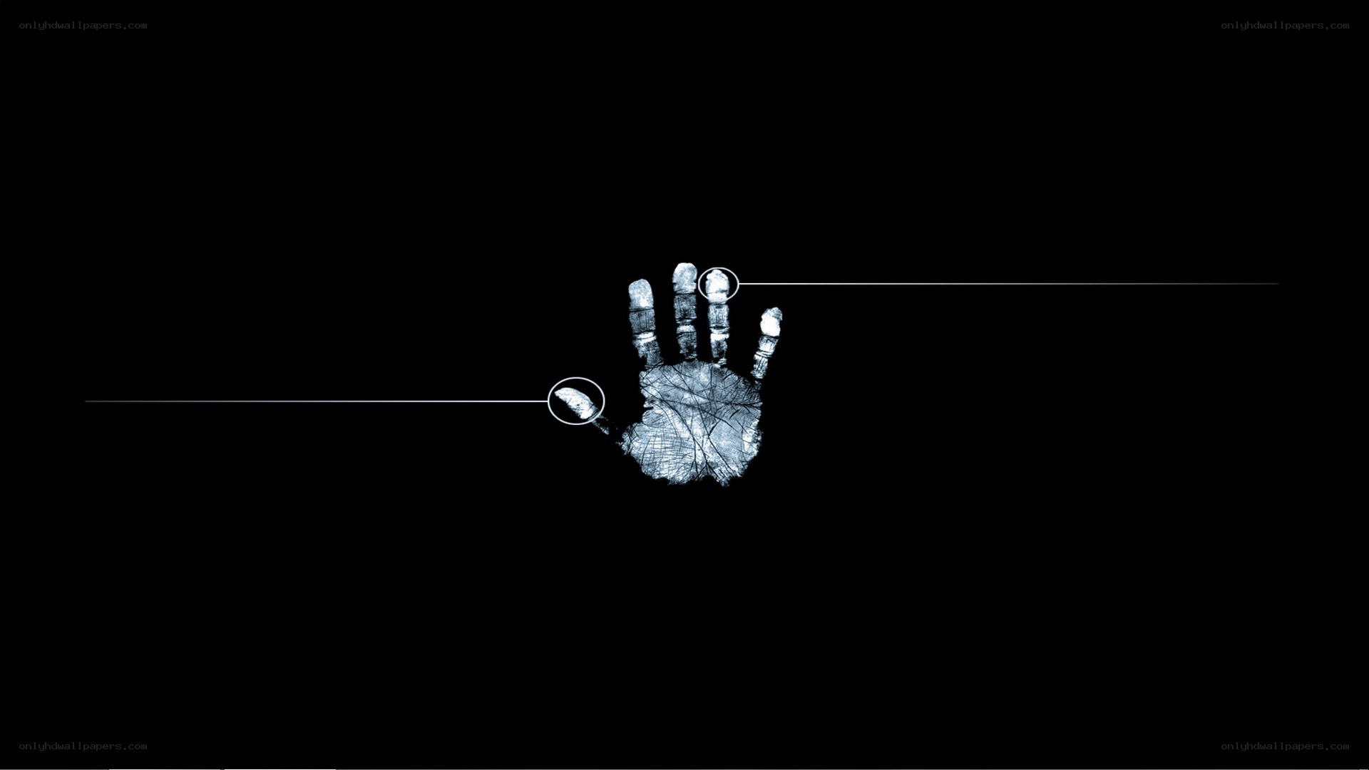 handprint with fingerprint details