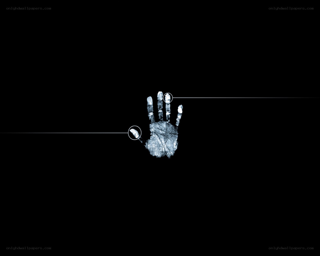 handprint with highlighted fingers