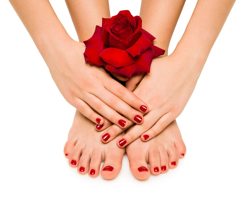 Hands and Feet with Rose