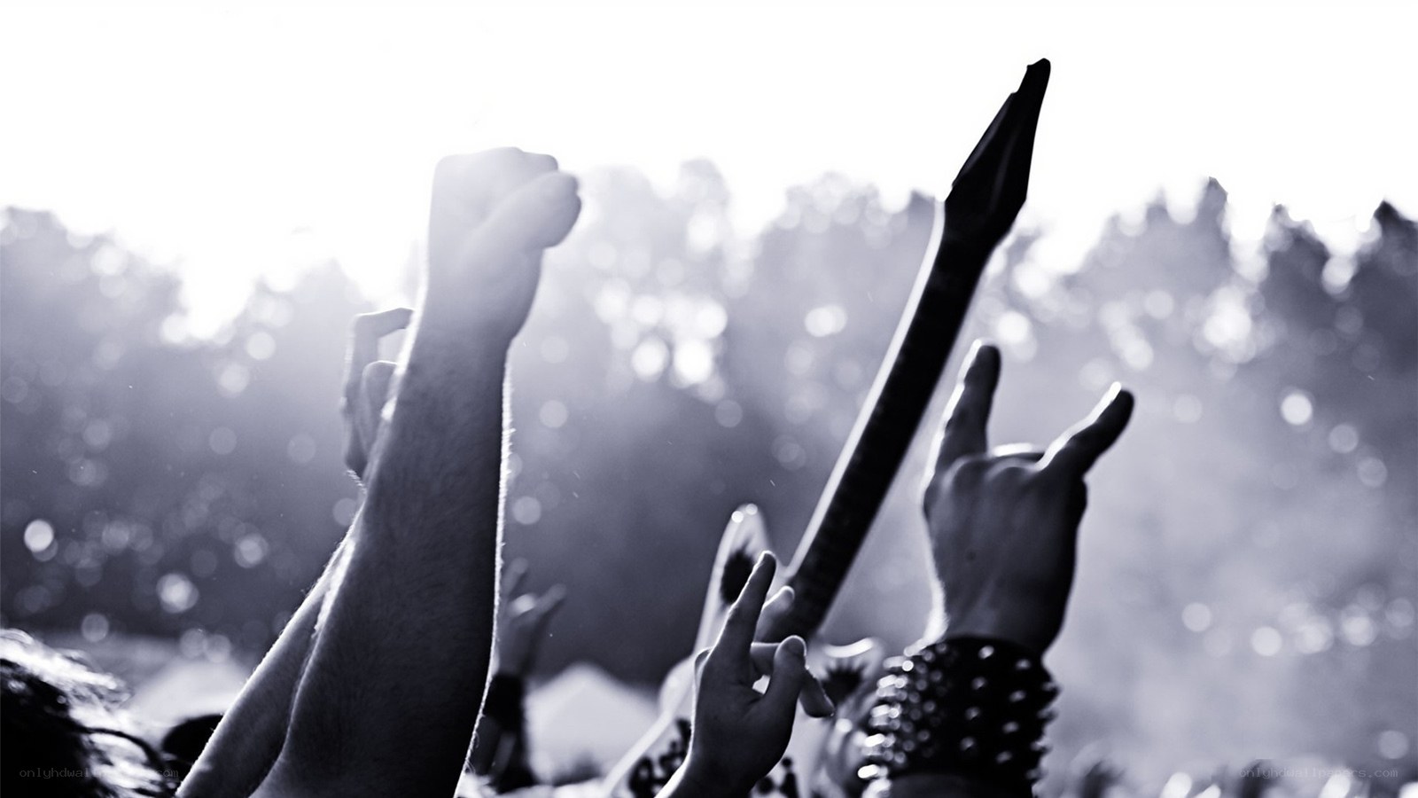 Hands at a concert