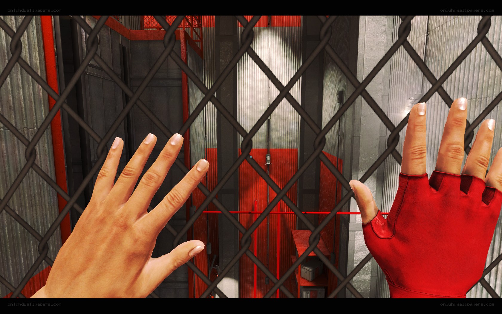 hands behind a chain-link fence