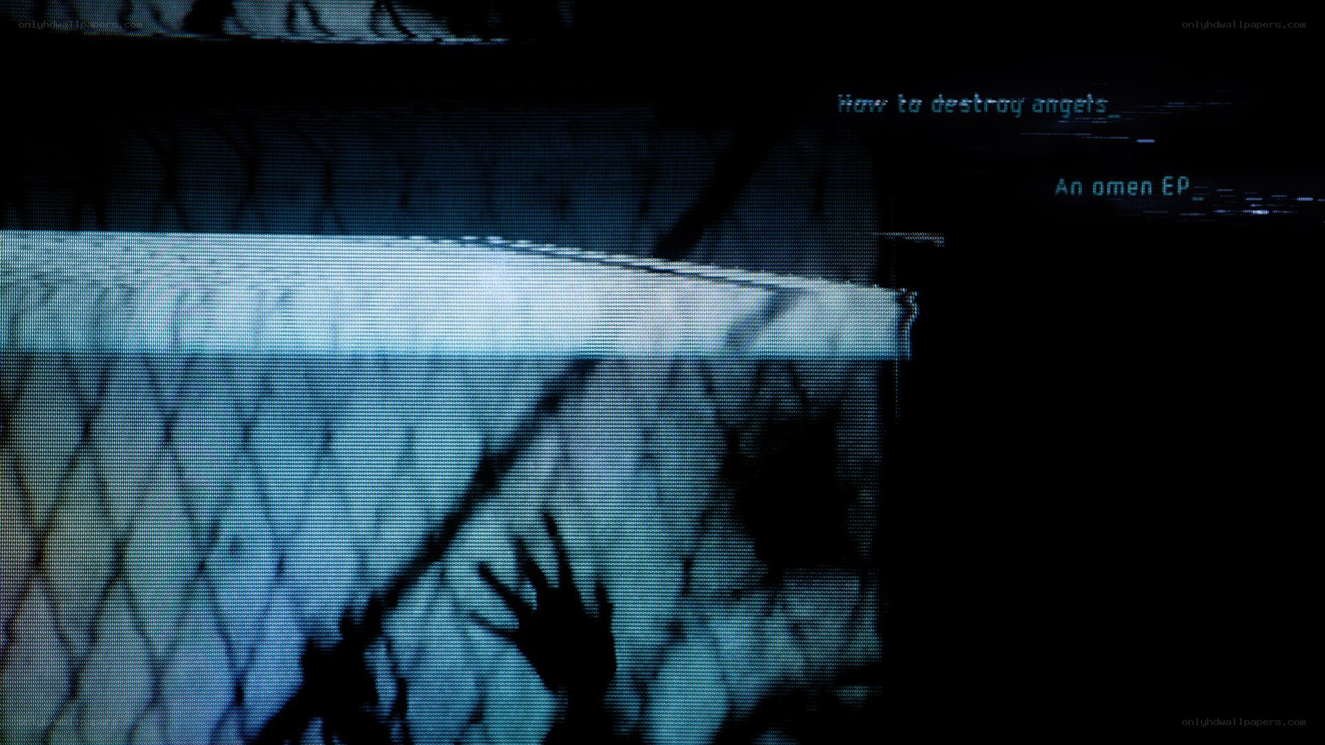 hands behind a fence