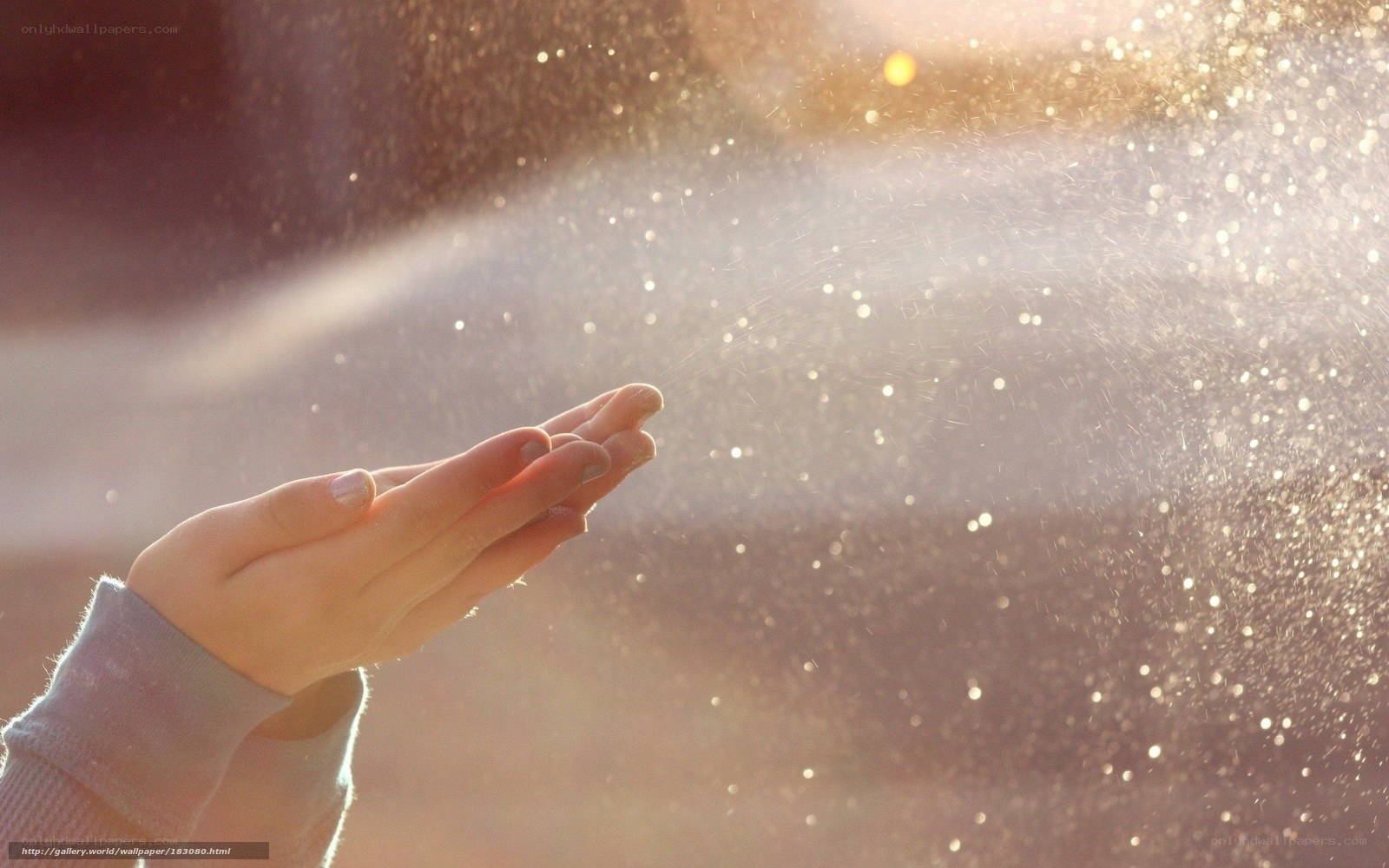 hands catching sunlight