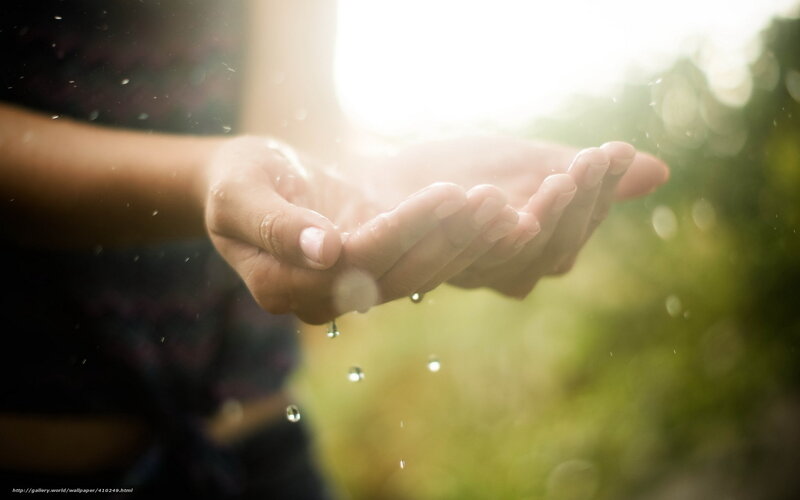 Hands Catching Water — White