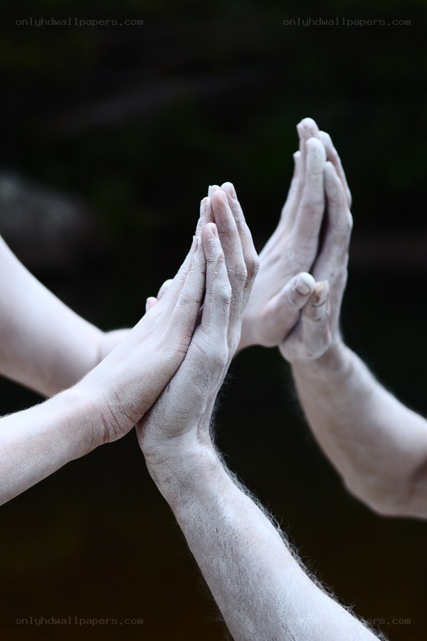 hands coming together in unity