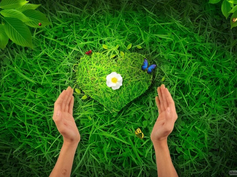 Hands cradling a heart of grass