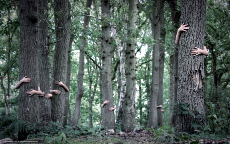 Hands emerging from trees