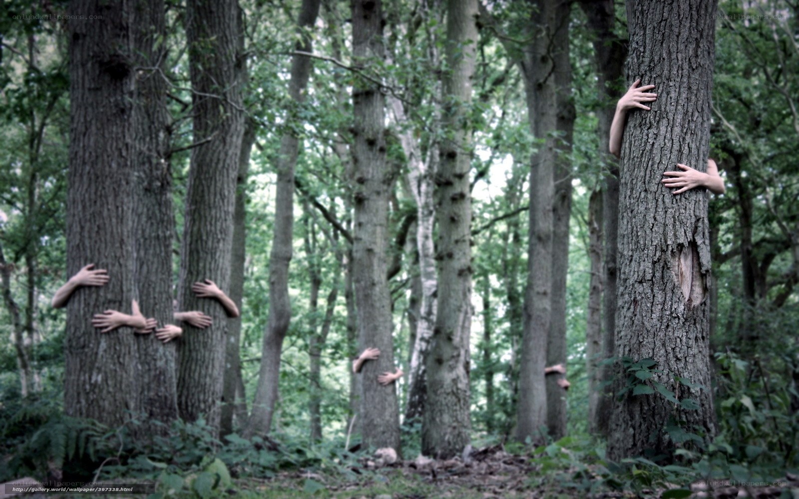 Hands emerging from trees