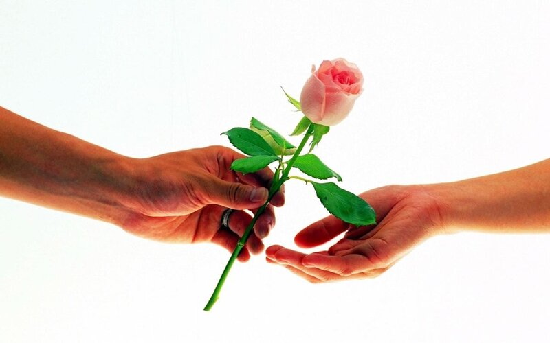 hands exchanging a rose