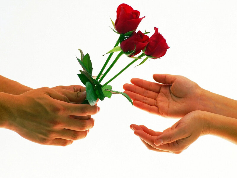Hands Exchanging Roses — Red, Calm