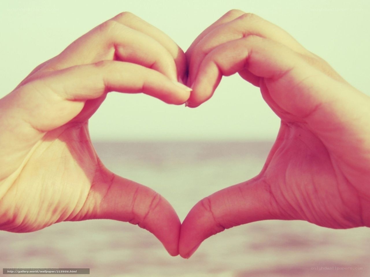 Hands forming a heart shape