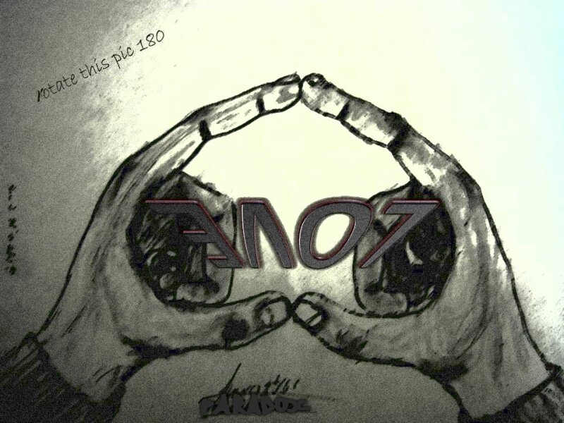 hands forming a heart with logo