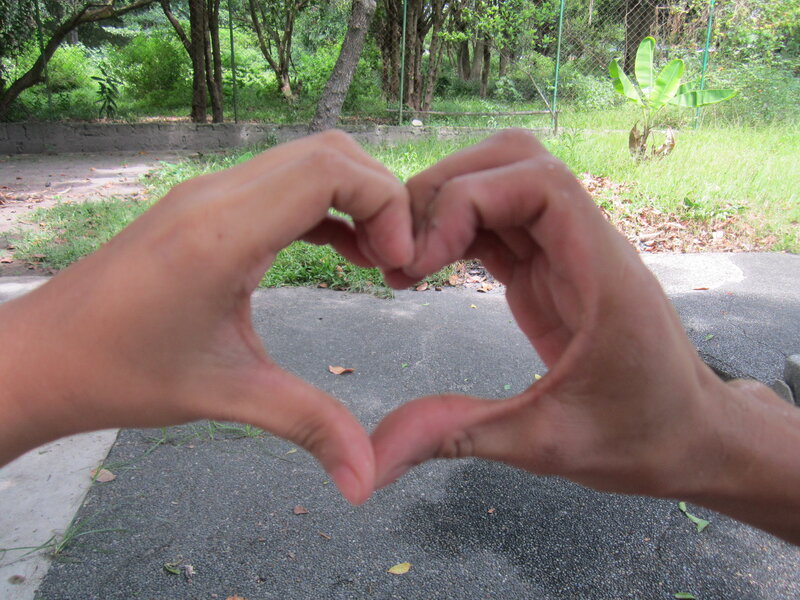 Hands Forming Heart Shape — Green