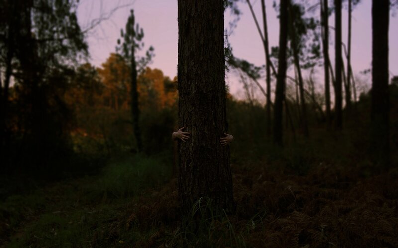 Hands Gripping Tree Trunk