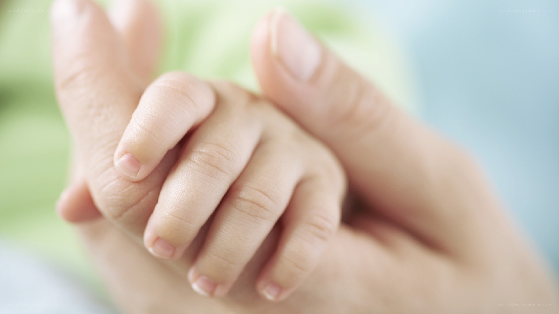 hands holding a baby's hand