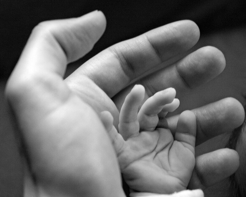 hands holding a baby's hand