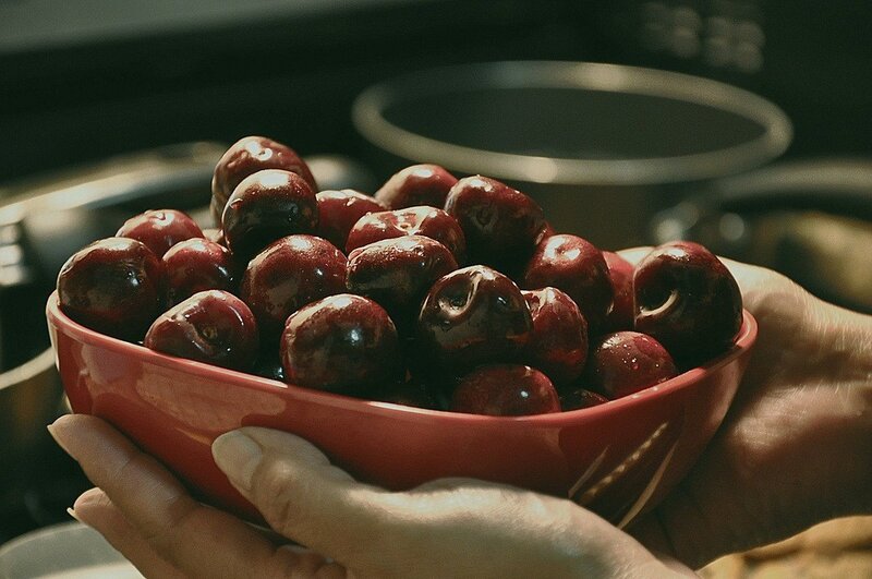 Hands holding a bowl of cherries