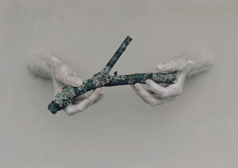 Hands Holding a Branch