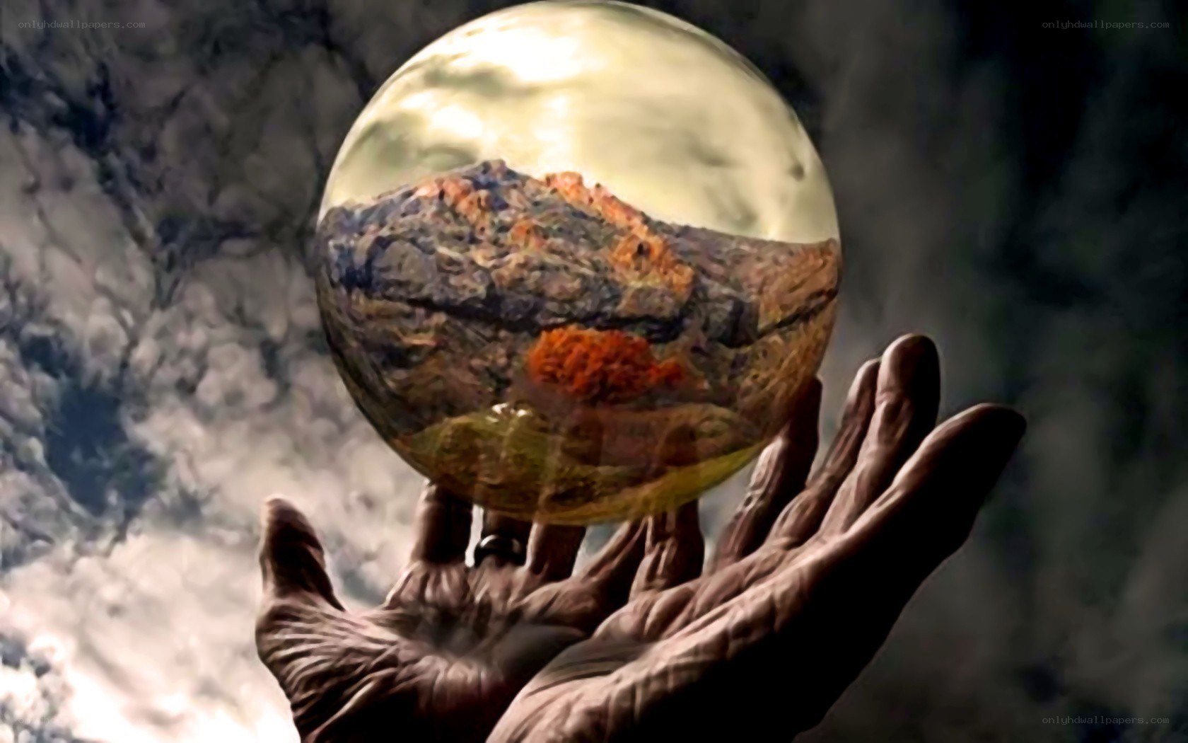hands holding a crystal ball