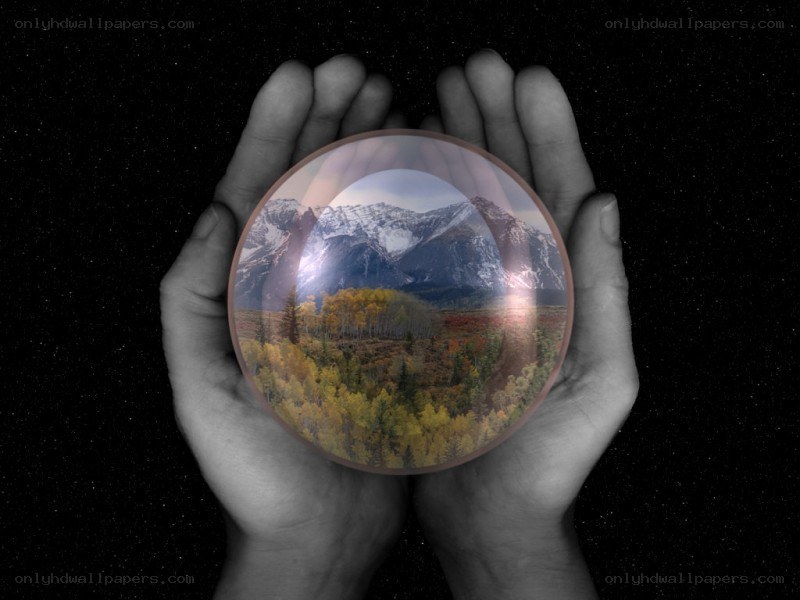 hands holding a crystal ball