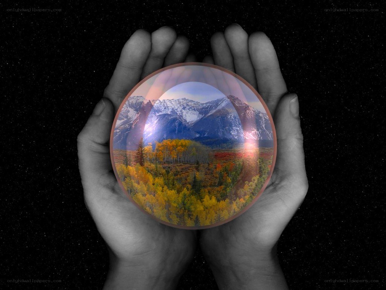 hands holding a crystal ball
