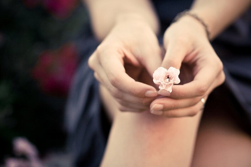 Hands Holding a Flower — Pink