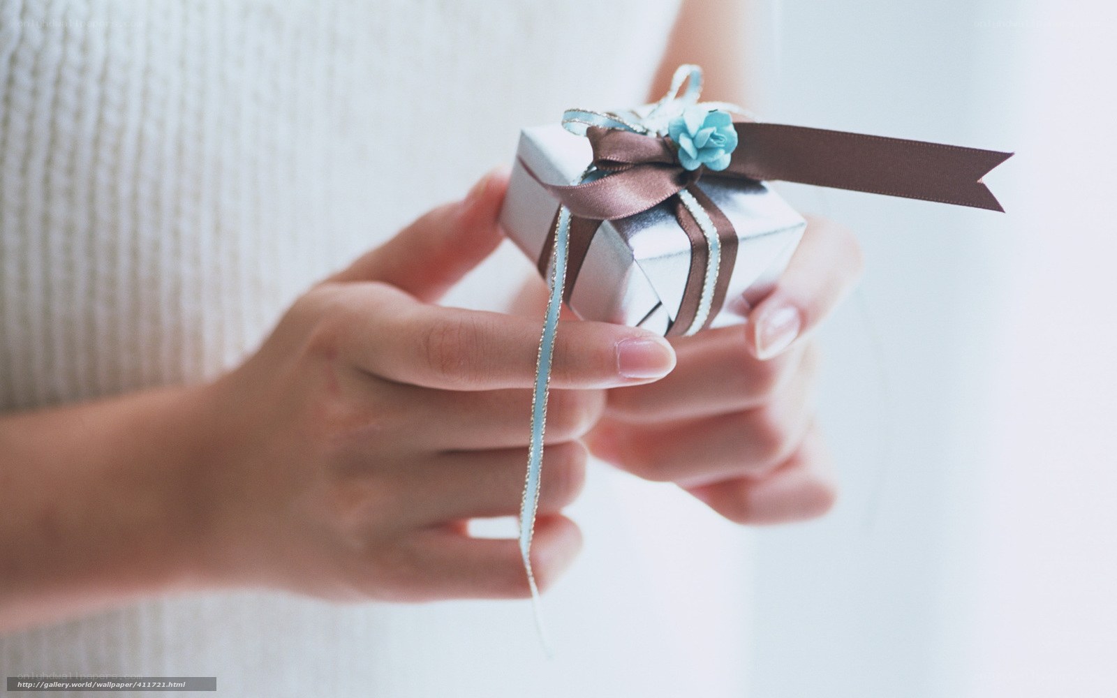 Hands holding a gift box