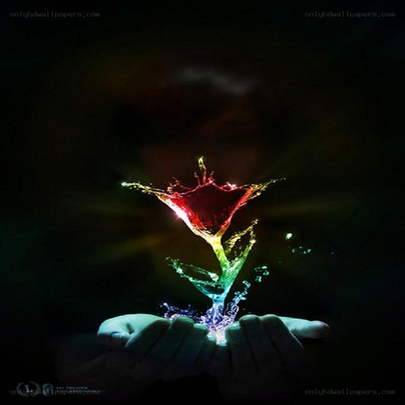 hands holding a glowing flower