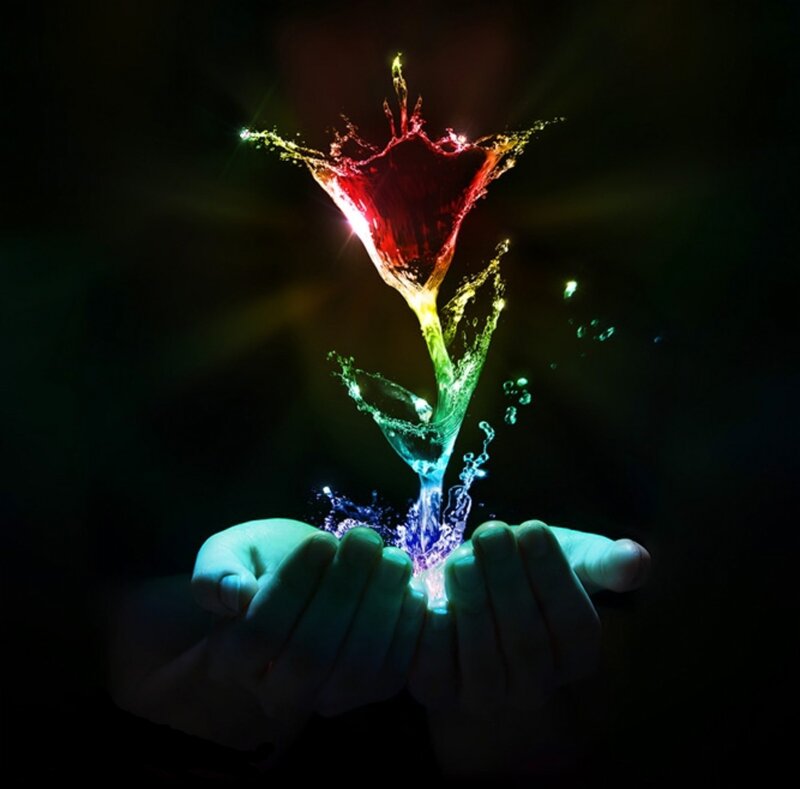 Hands Holding a Glowing Flower — Black