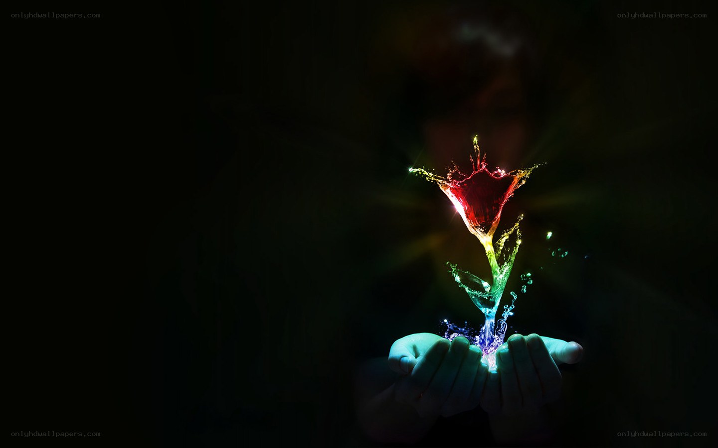 hands holding a glowing flower