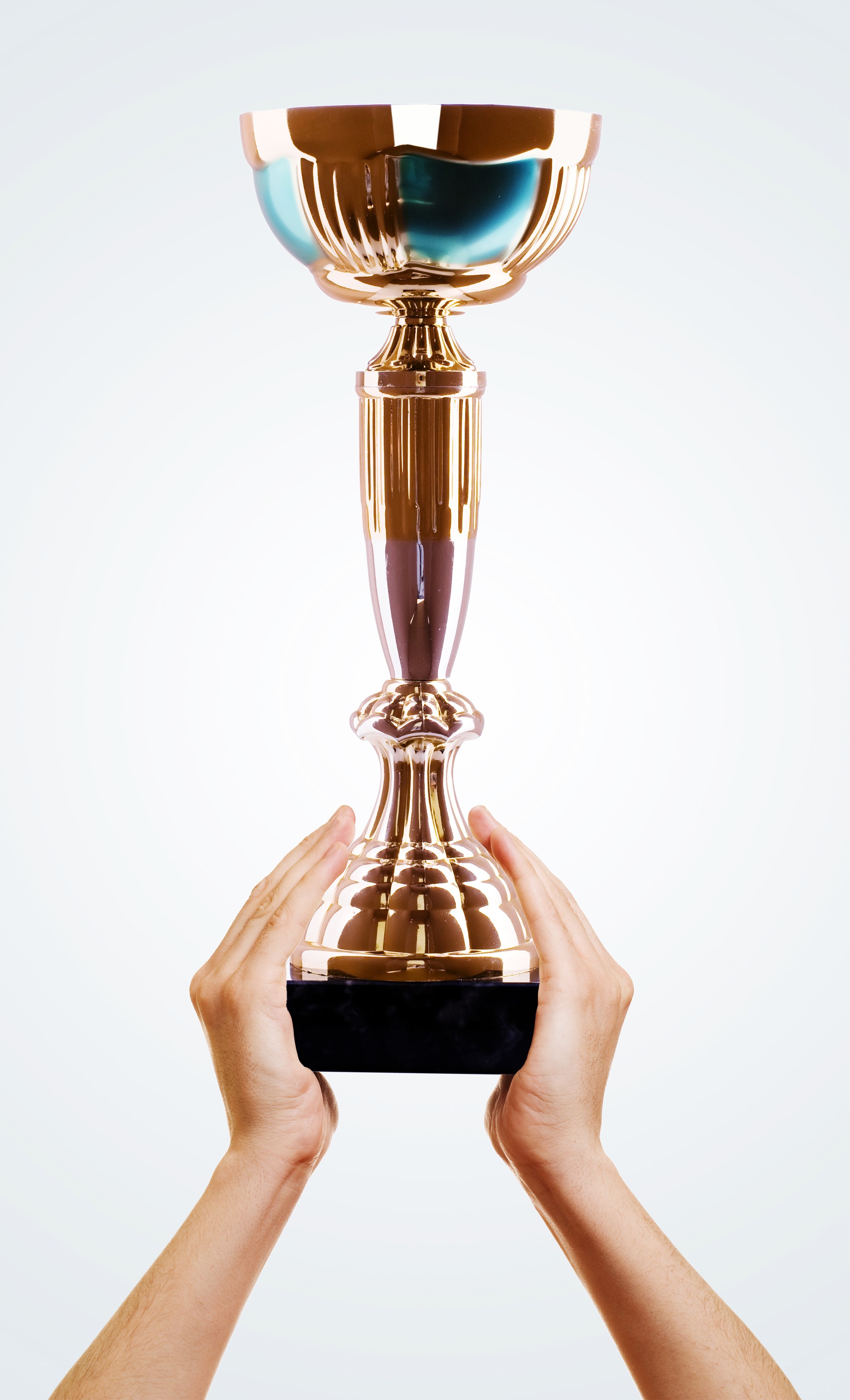 hands holding a golden trophy